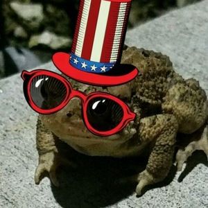 Meet your Posher, Kenny